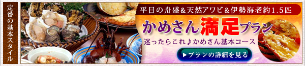 かめさん満足プラン　まよったらこれ♪かめさん基本コース